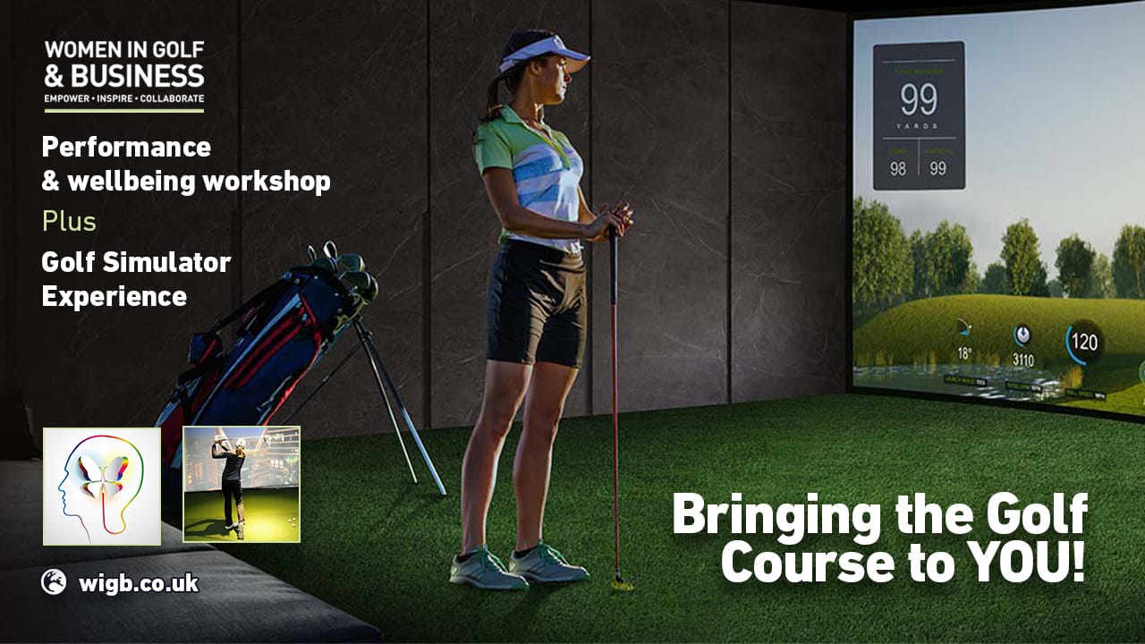 Golf Sim25INSTA Bringing NO BOX